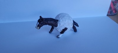 WhatsApp Image 2026 04 02 at 19.27.04 (2)