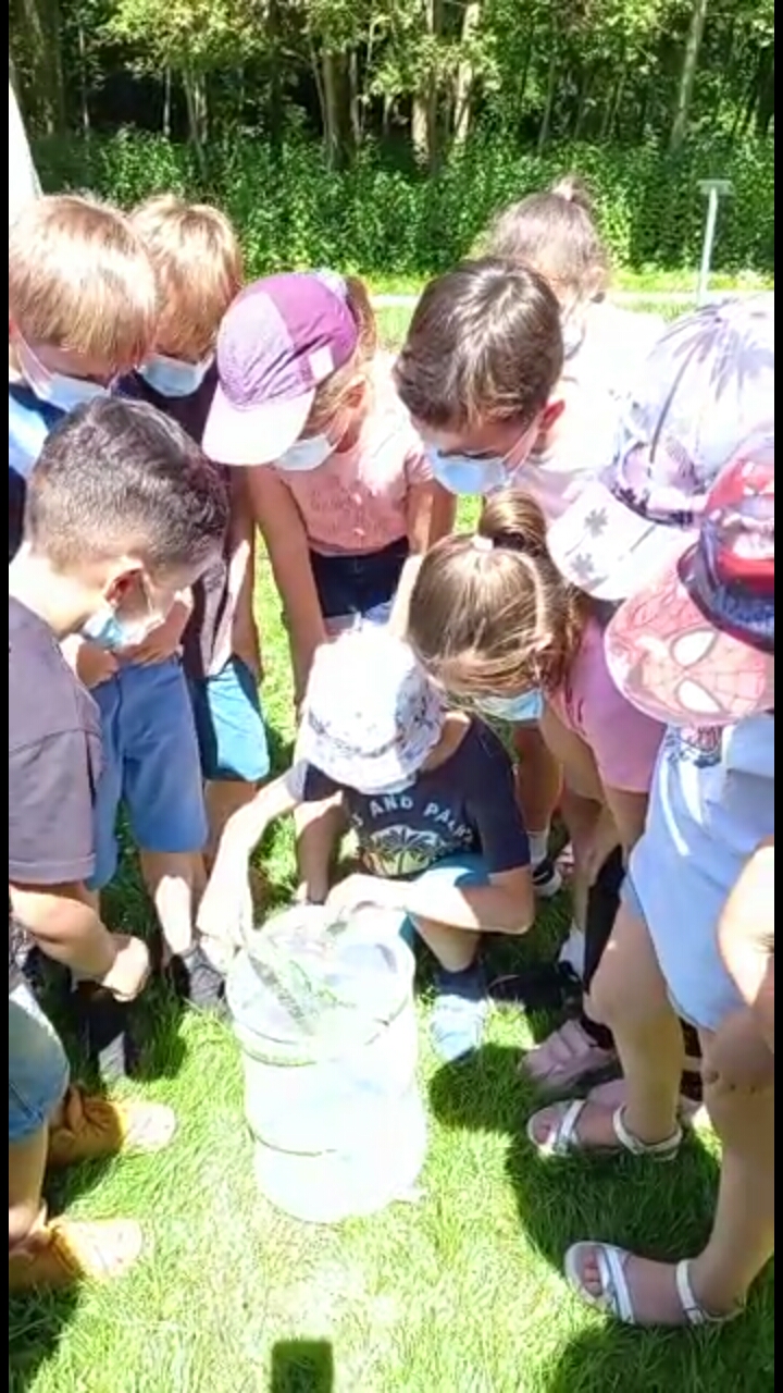 Screenshot 20210623 082611